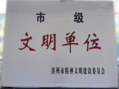 喜訊！公司榮獲“市級文明單位”稱號